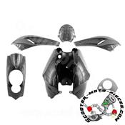 Kit Carénages Peugeot Ludix Carbone Style