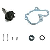 Kit réparation pompe à eau Top Perf AM6
