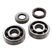 Roulements de vilebrequin Top Performance AM6