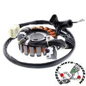 Stator d'allumage Aprilia Atlantic 300cc 10>12